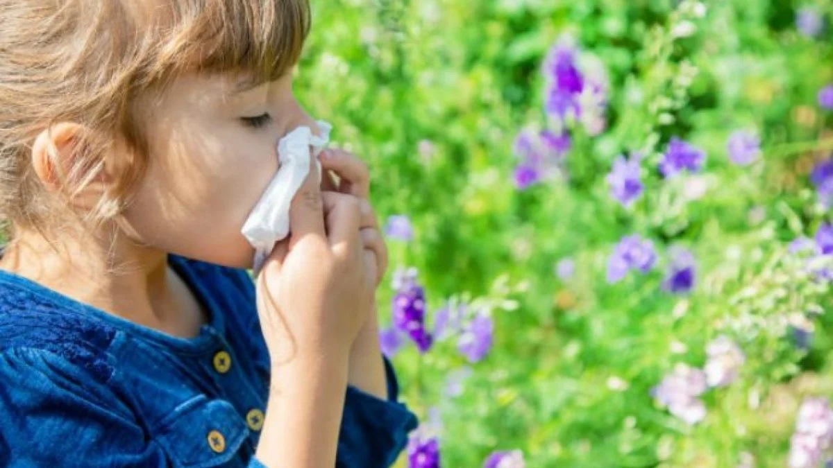 Bahar alerjisini soğuk algınlığıyla karıştırmayın