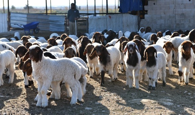Vali Şıldak, Urfa'nın potansiyeline dikkat çekti