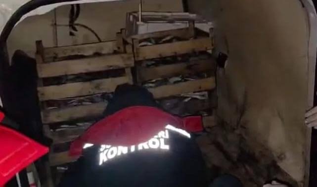İzmir'de yasadışı avcılığa karşı sıkı önlem