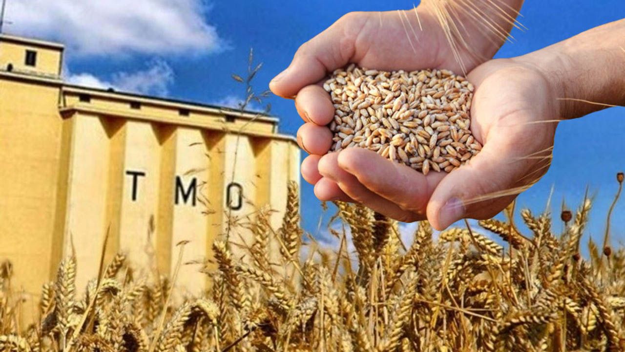 TMO’dan buğday satışı... 1,2 milyon ton stok günlük açık artırmada