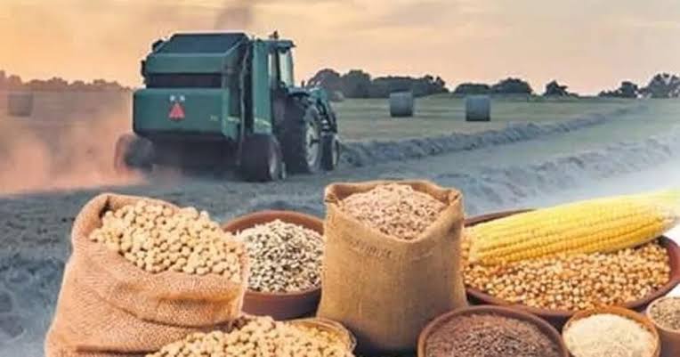 Tarım ürünlerinde fiyatlar hızlandı