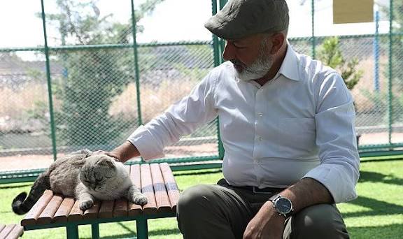 Küçük Dostlar Kedi Kasabası Rekor Ziyaretçi Sayısına Ulaştı