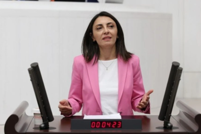 CHP’li Altaca Kayışoğlu'ndan 'alt komisyon' çağrısı
