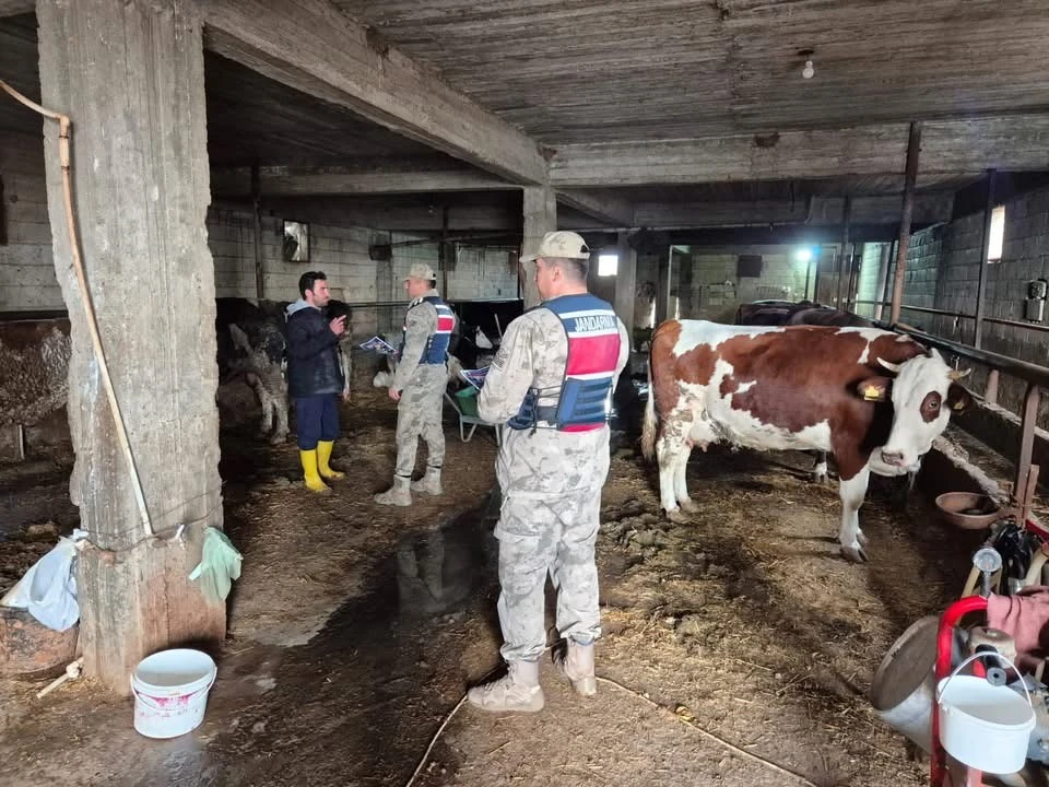 Jandarmadan Bayram Öncesi Dolandırıcılık Uyarısı