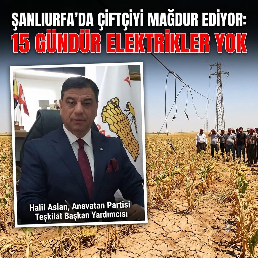 Halil Aslan: Şanlıurfa Çiftçisi Yalnız Bırakılamaz, Elektrik Sorunu Acilen Çözülmelidir