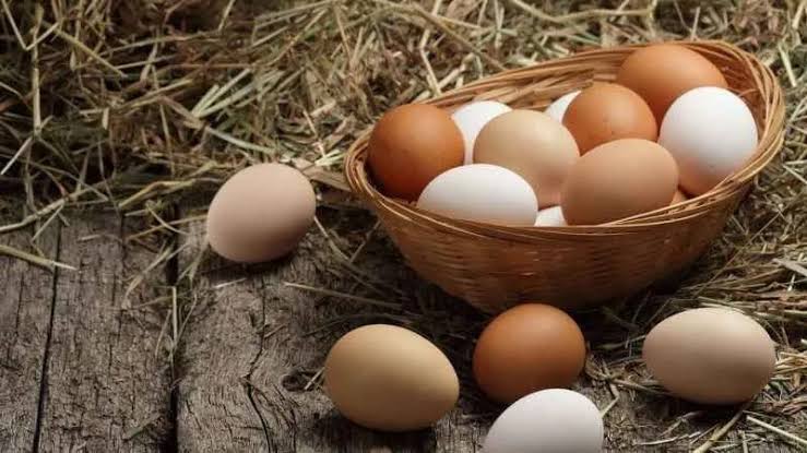 Kümes Hayvancılığında Dengeler Değişti: Yumurta Arttı, Et Azaldı