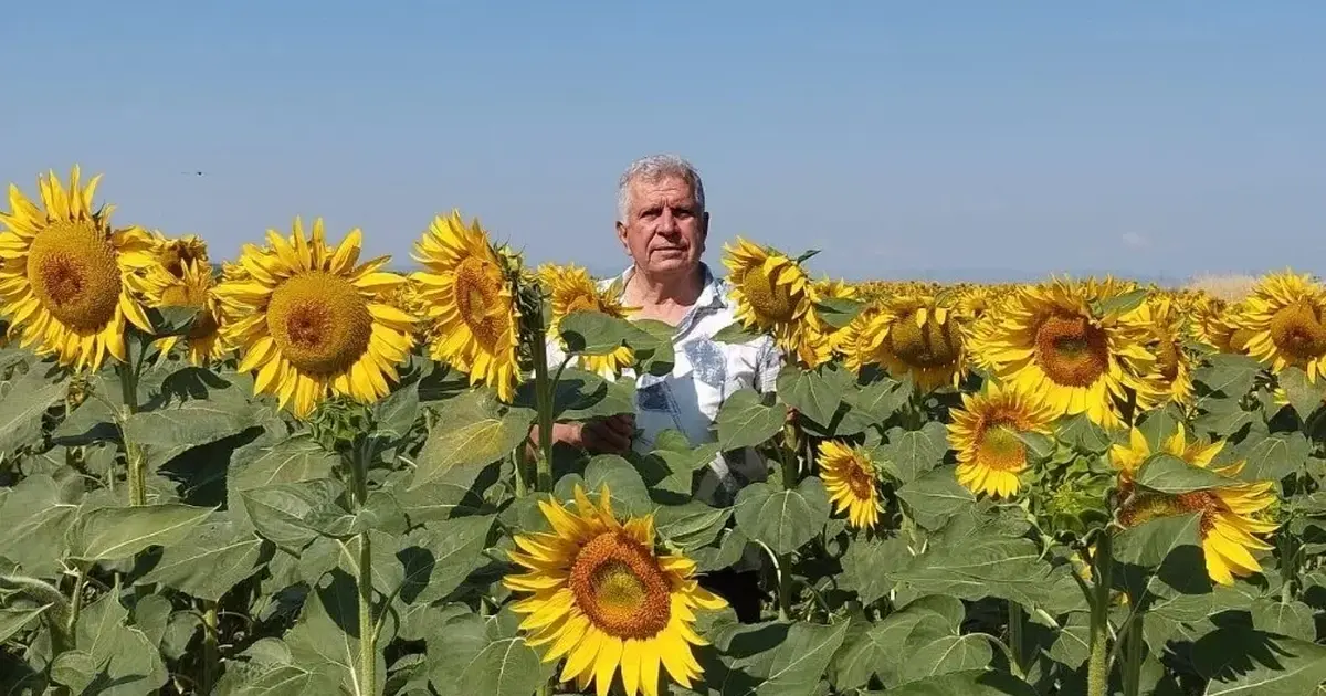 Ayçiçeği ve pirinç ithalatına Edirne'den tepki