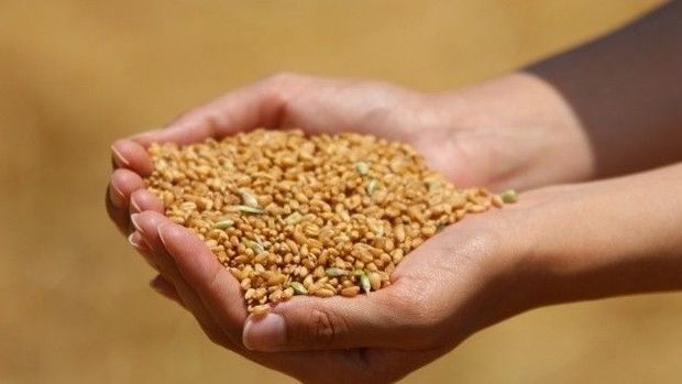 Ukraynalı bakan: Tahıl koridoru anlaşması uzatılacak