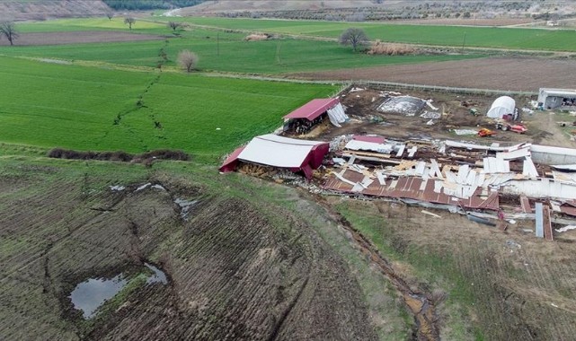 Depremin tarım sektöründeki zararı belli oldu