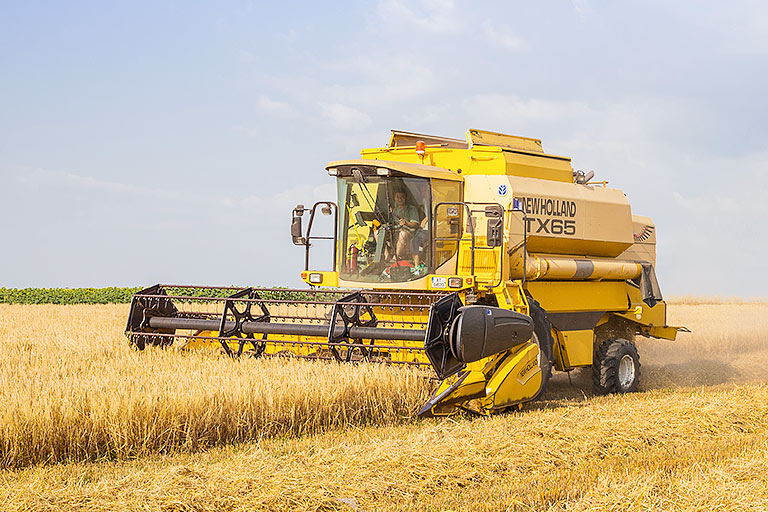 TMO, 695 bin ton ekmeklik buğday ithalatı için ihale yapacak!