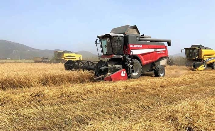 Buğday arpa mısır ithalatında gümrük vergisi yüzde 130'a yükseltildi, buğday fiyatları yükselişe geçti!