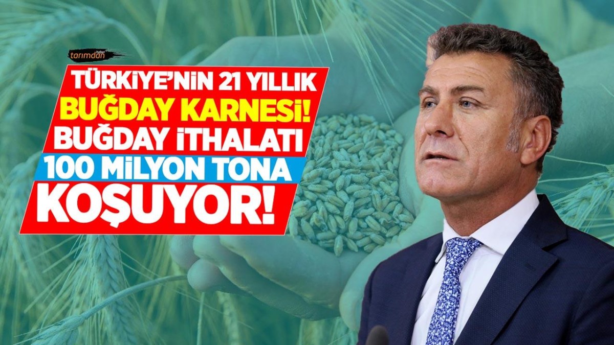 21 yılda 93 milyon ton buğday ithal edilerek 26 milyar dolar ödendi!