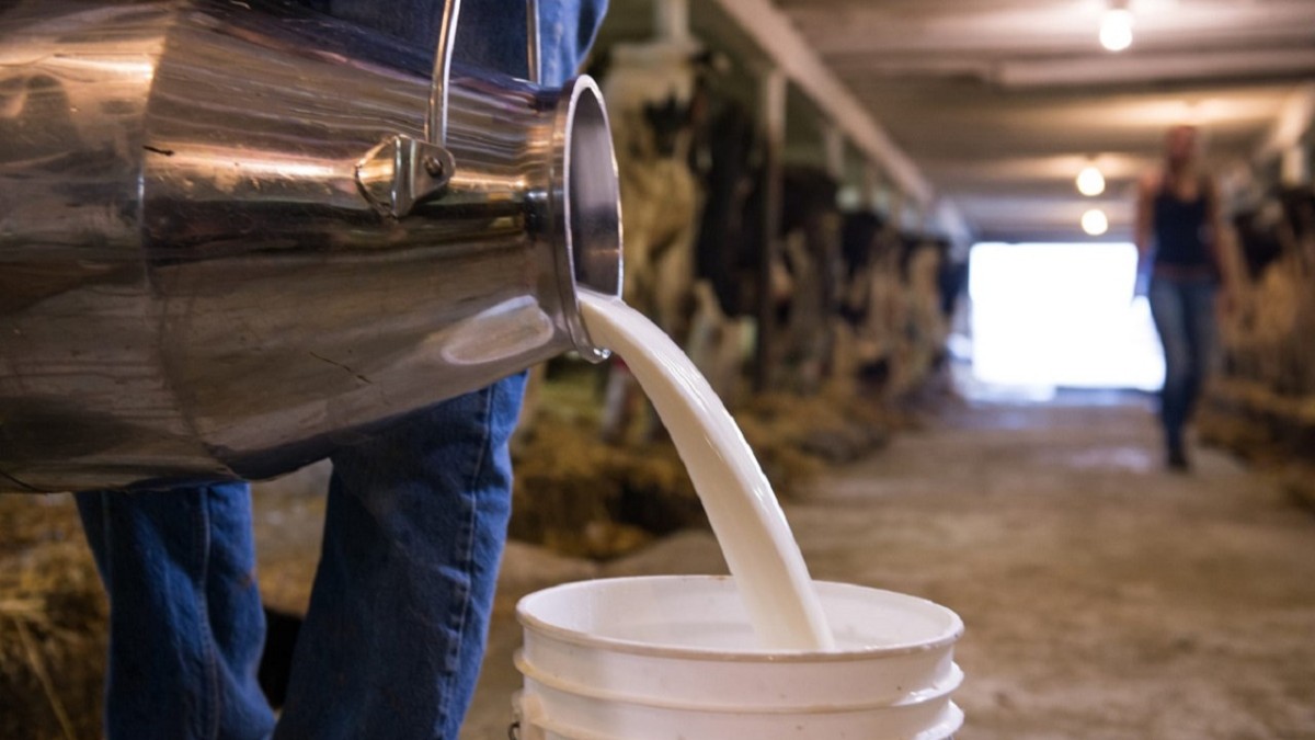 Ulusal Süt Konseyi Nisan ayı çiğ süt üretim maliyetini açıkladı!