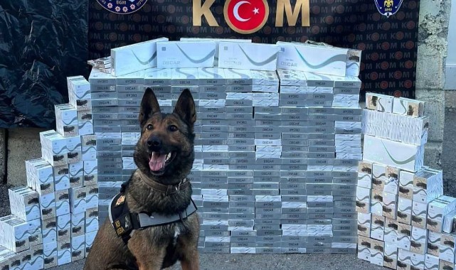 Yolcu otobüsünde 3 bin 400 paket kaçak sigara ele geçirildi