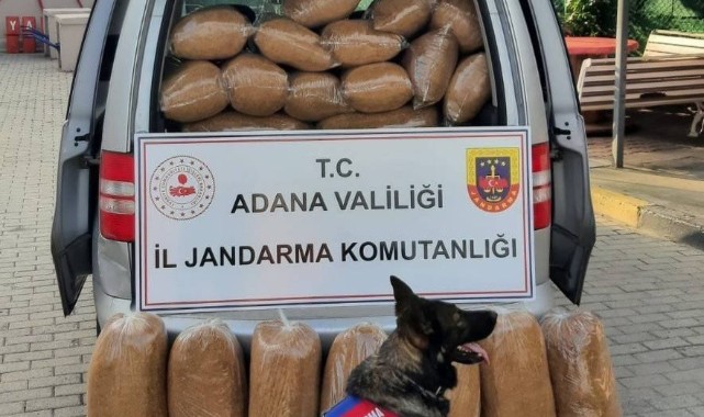 Kaçakçılar engel tanımıyor! Ekipler ise geçit vermiyor...