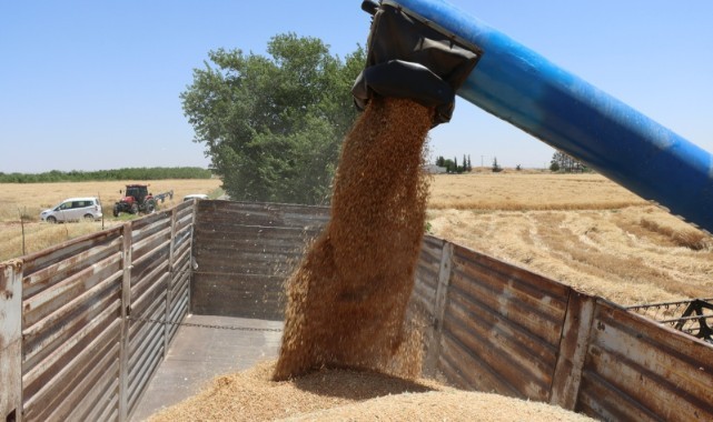 Arpa ve buğday bugün kaç liradan satıldı?