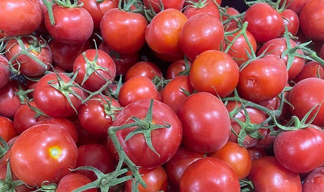 Güneydoğu'dan domates ihracatı artıyor!