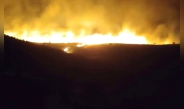Urfa ve Diyarbakır sınırlarındaki Bal Ormanı'nda yangın