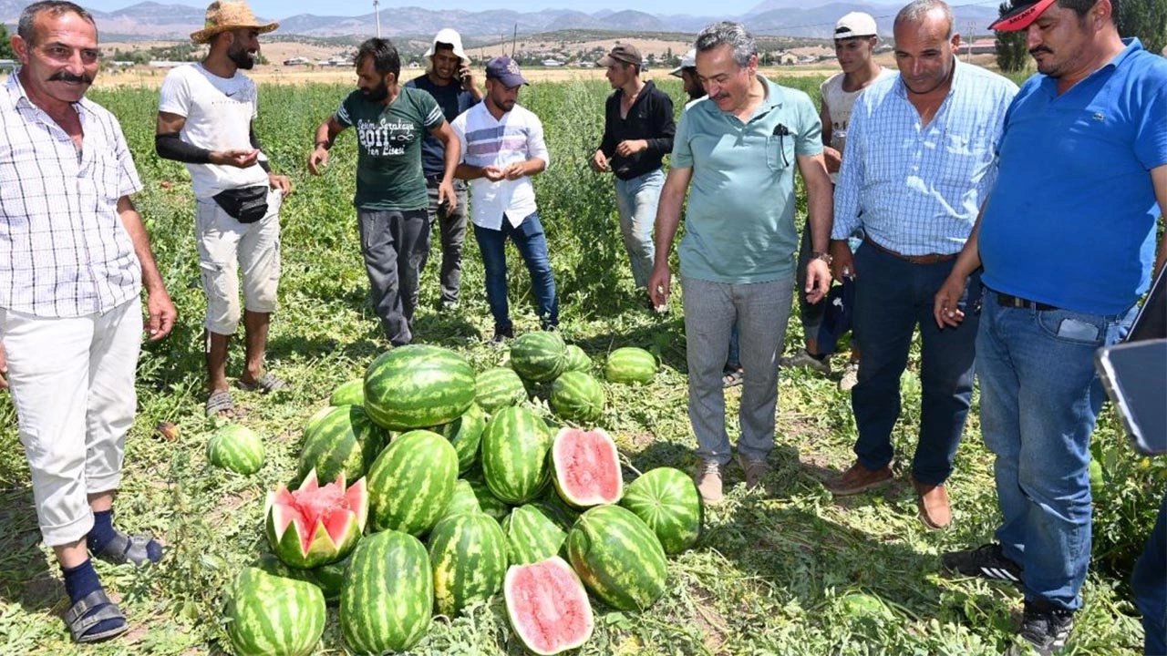 Seydişehir'den Hollanda, Danimarka'ya karpuz ihracatı!