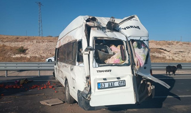 Urfalı plakalı tarım işçilerini taşıyan minibüs devrildi! 9 yaralı
