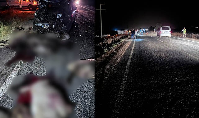 Şanlıurfa'da araç koyun sürüsünü ezdi! Sürücü yaralandı