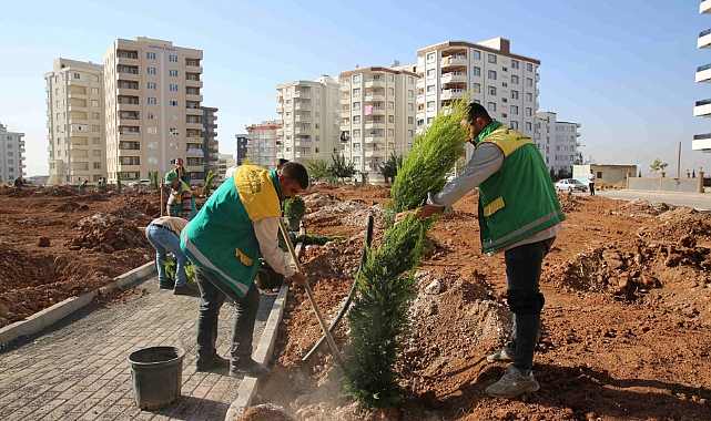 KARAKÖPRÜ’DE YENİ PARKLAR AĞAÇLANDIRILIYOR