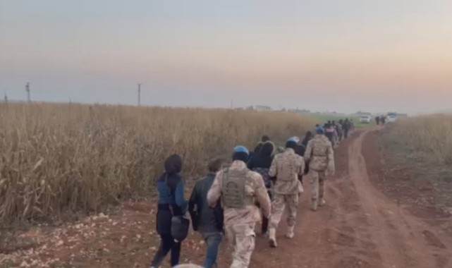 Şanlıurfa'da çok sayıda kaçak göçmen yakalandı! 15 tutuklama var
