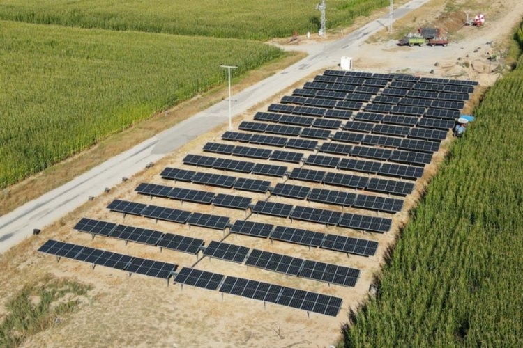 CW Enerji, Solar Sulama Sistemleri İle Enerji Maliyetlerinde Önemli Tasarruflar Sağlıyor