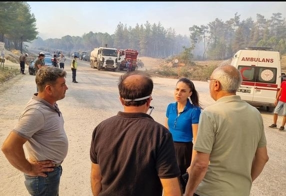 Muğla'daki Orman Yangınları TBMM'ye Taşındı: CHP Milletvekili Hesap Sordu