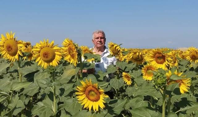 7 ayda 8,9 milyar TL’lik ek tahakkuk ve ceza... Cezalar geçen yıla göre yüzde 29 arttı